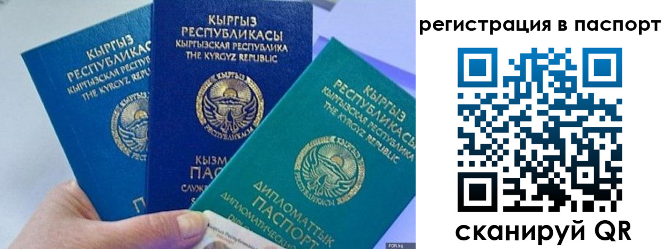 прописка 2025 в Черепаново